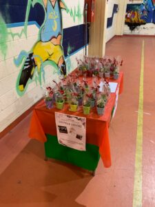 05 PROGETTO COLTIVA VALORI